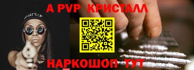 прущие грибы Будённовск