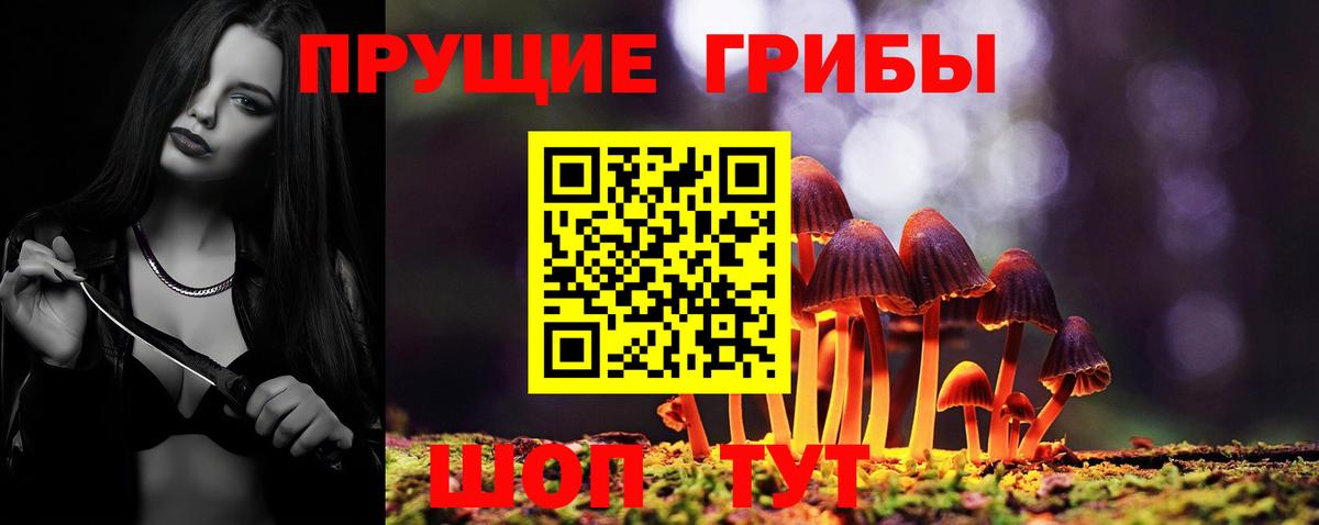 Щёкино  Галлюциногенные грибы прущие грибы  Вход с VPN  Галлюциногенные грибы MAGIC MUSHROOMS 