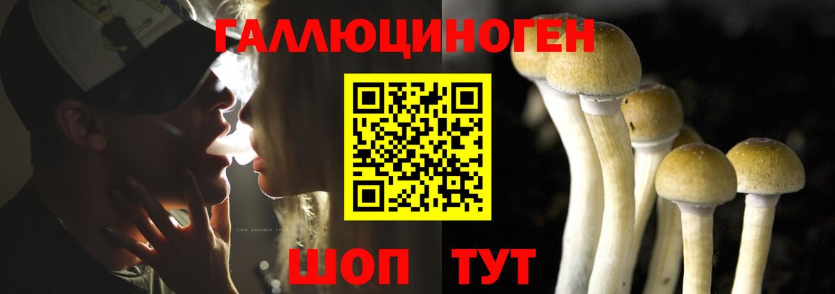 Псилоцибиновые грибы прущие грибы Щёкино